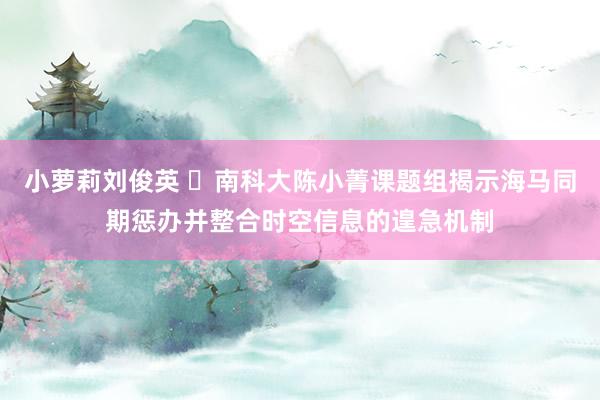 小萝莉刘俊英 ​南科大陈小菁课题组揭示海马同期惩办并整合时空信息的遑急机制