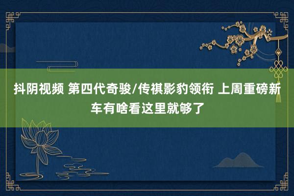 抖阴视频 第四代奇骏/传祺影豹领衔 上周重磅新车有啥看这里就够了