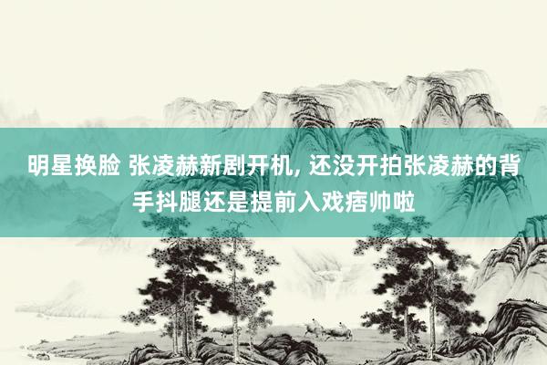明星换脸 张凌赫新剧开机, 还没开拍张凌赫的背手抖腿还是提前入戏痞帅啦